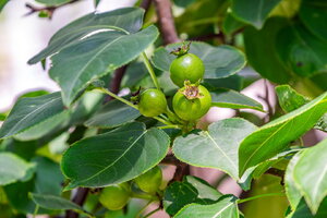 DSCF2762.jpg