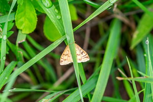 DSCF2781.jpg