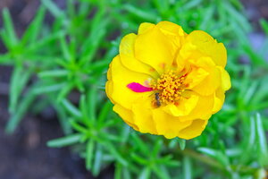 DSCF2901.jpg