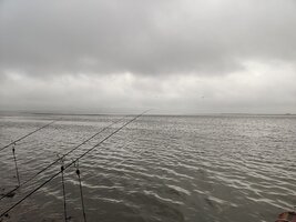 IMG_20260706_183458.jpg