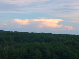 20260709_220712501.jpg