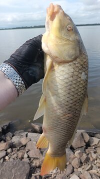 IMG_20260710_103637_363.jpg