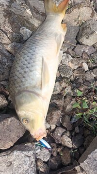 IMG_20260710_103503_949.jpg