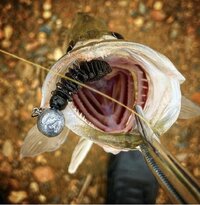 IMG_8702.jpeg