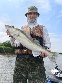 IMG_20260711_184907_242.jpg