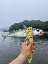 IMG_2289.jpeg