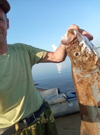 IMG_20260712_192107.jpg