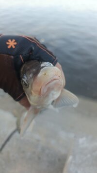 IMG_20260714_075522_920.jpg