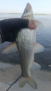 IMG_20260714_075520_301.jpg