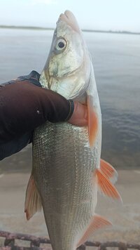 IMG_20260714_071103_751.jpg