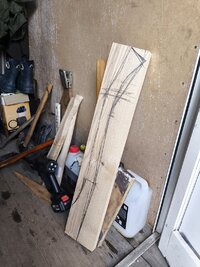 IMG_20260714_130204.jpg