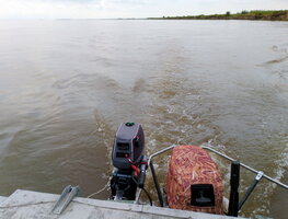 IMG_20260712_134416.jpg