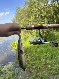 IMG_2322.jpeg