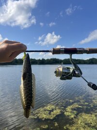 IMG_2321.jpeg