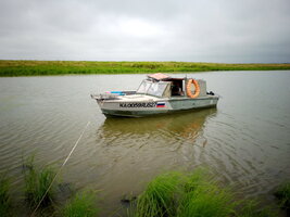 06.jpg