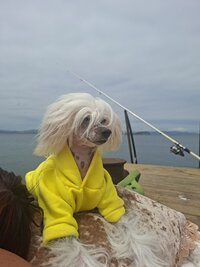 20260624_141252.jpg