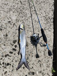 IMG_20260607_131949.jpg