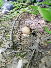IMG_20260716_153025.jpg