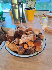 20260716_201228.jpg