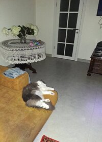 20260717_004857.jpg