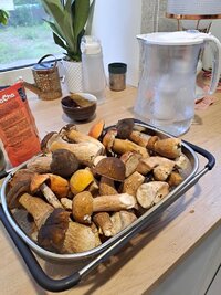 20260717_201508.jpg