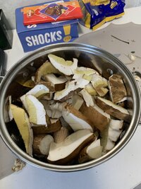 IMG_4971.jpeg