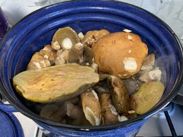 IMG_4970.jpeg