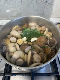 IMG_4976.jpeg