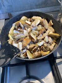 IMG_4977.jpeg