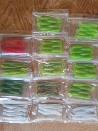 IMG_20260719_125230245.jpg