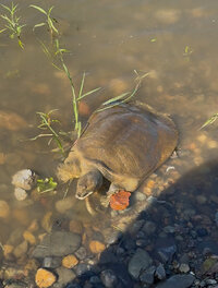 IMG_3303.jpeg