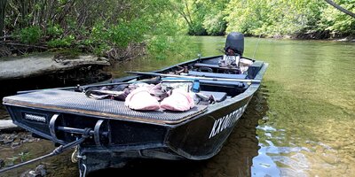 IMG_20260611_143110_854.jpg