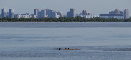 IMG_9680.JPG