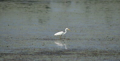IMG_0061.JPG