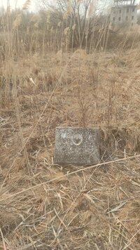 1000041380.jpg