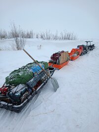 IMG20260228091203.jpg