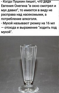 1784621026544.jpeg