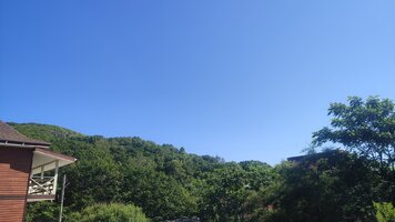 IMG_20260722_094155.jpg