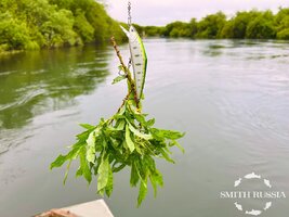 IMG_3901.JPEG