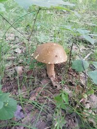 IMG_20260722_184030.jpg
