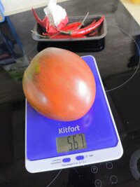 IMG_20260723_124748.jpg