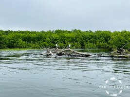 IMG_3902.JPEG