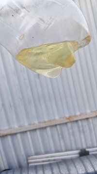 IMG_20260723_200146.jpg