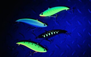 IMG_6198.jpg
