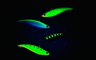 IMG_6200.JPEG