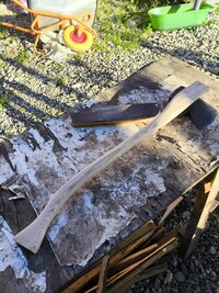 IMG_20260724_184937.jpg