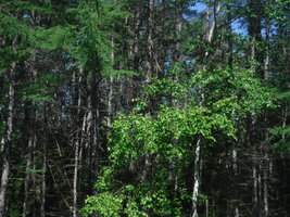 DSCF3431.JPG