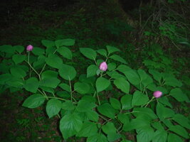 DSCF3289.JPG