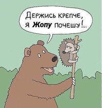 пор.jpg