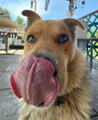 IMG_20260725_184136_176.jpg